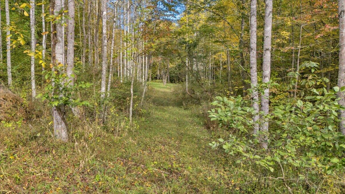 6973 Henry RD - Photo 64