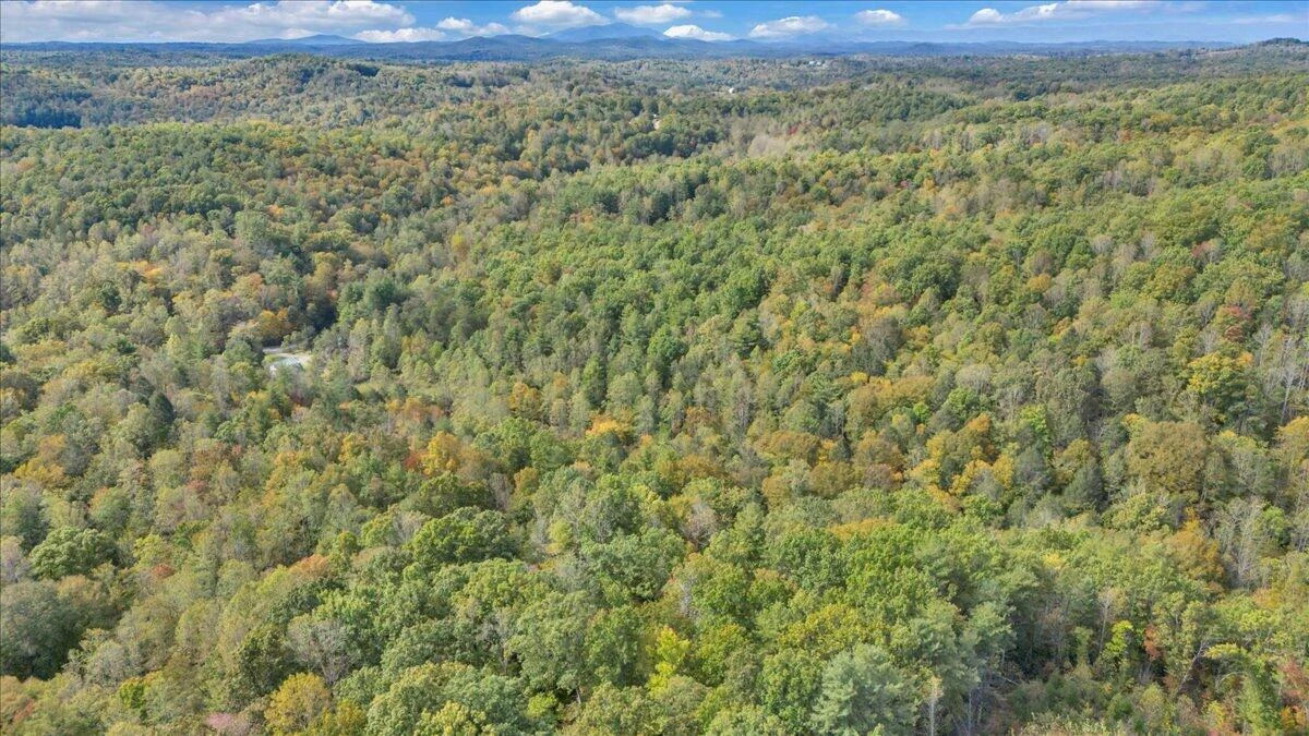 6973 Henry RD - Photo 54