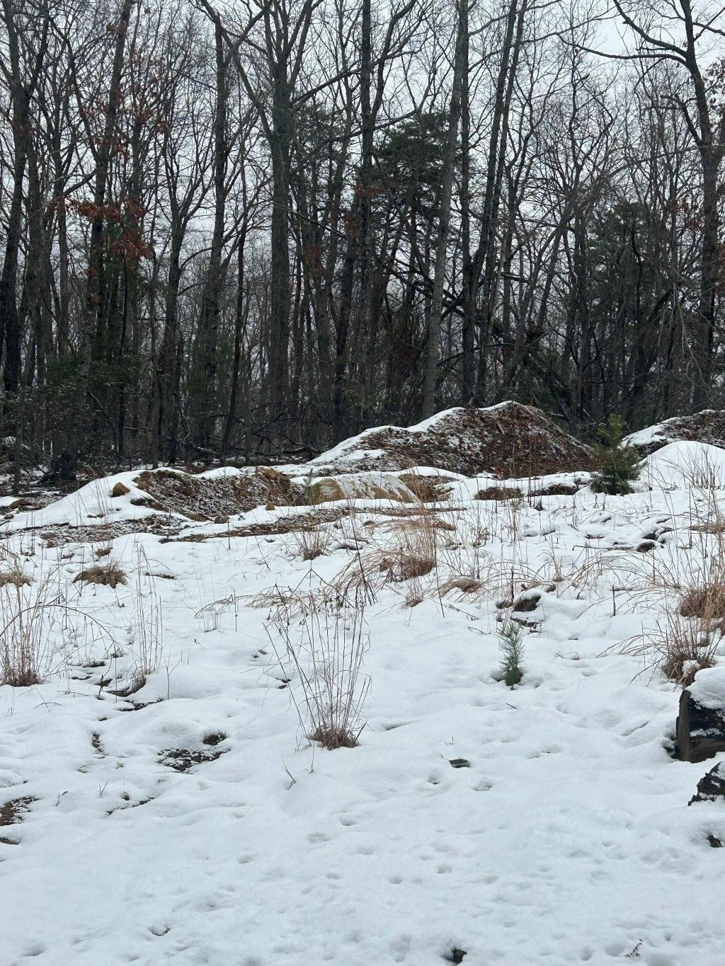 0 Timber Trail LN - Photo 3