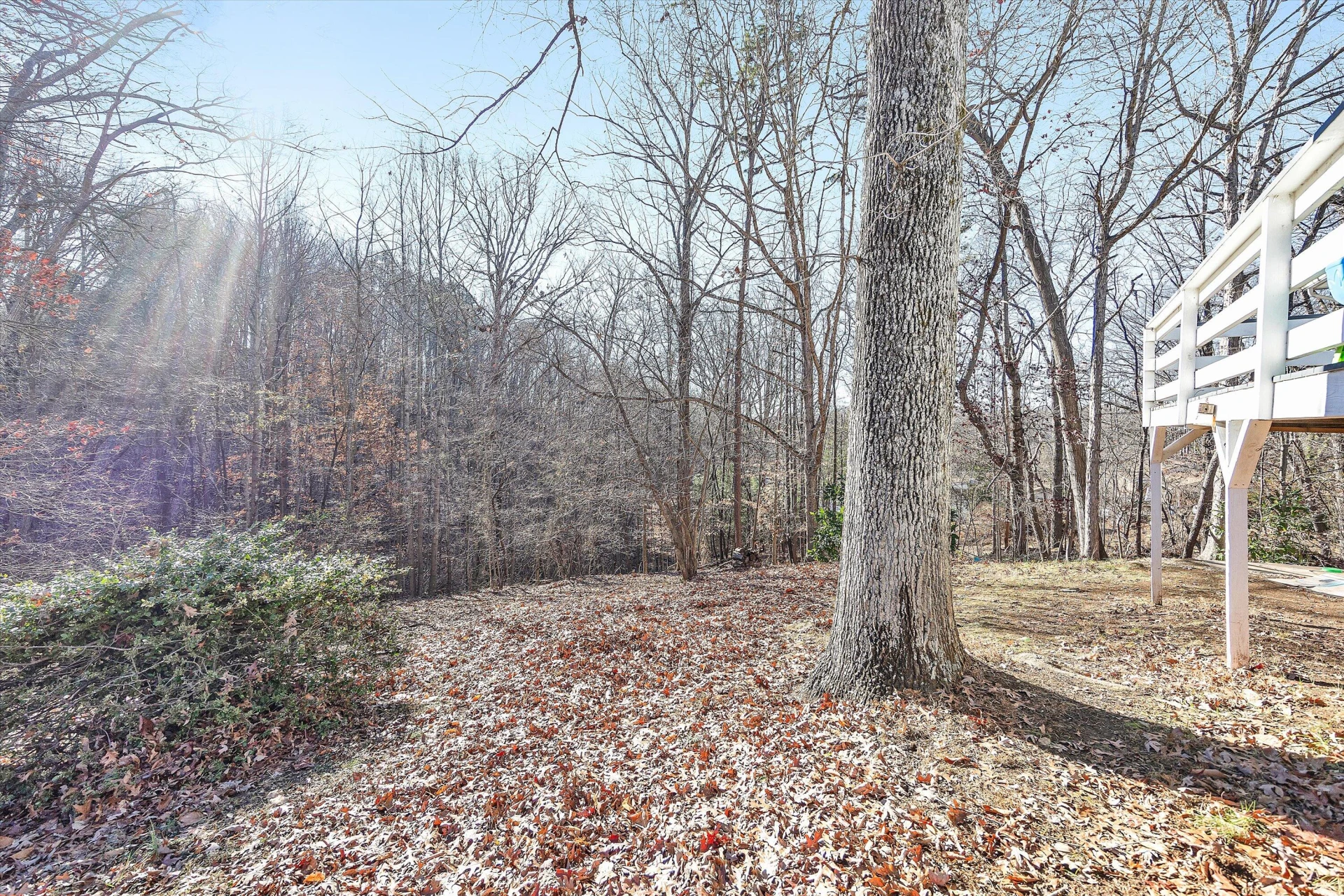 330 OAKLAND DR - Photo 34