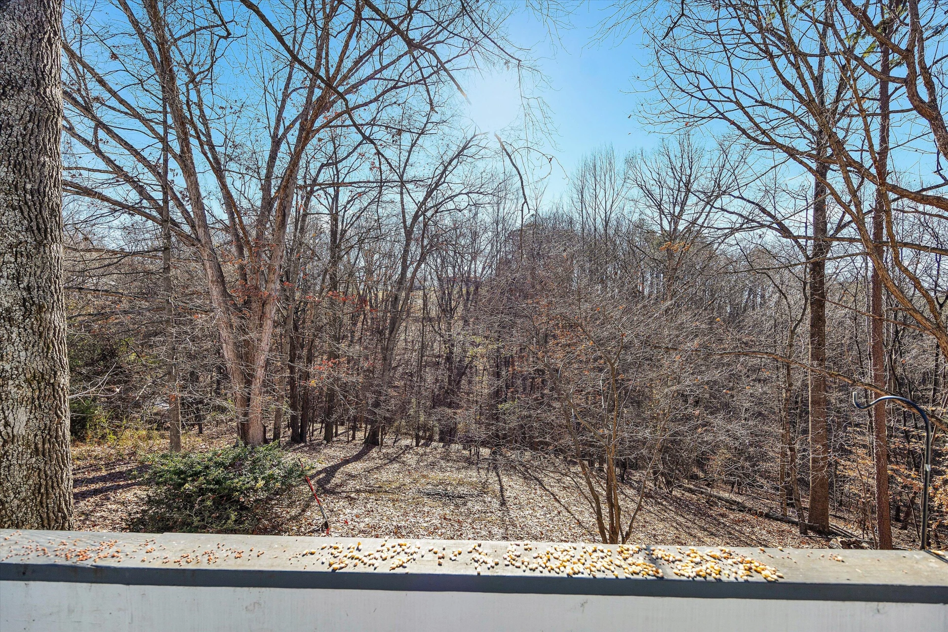 330 OAKLAND DR - Photo 38