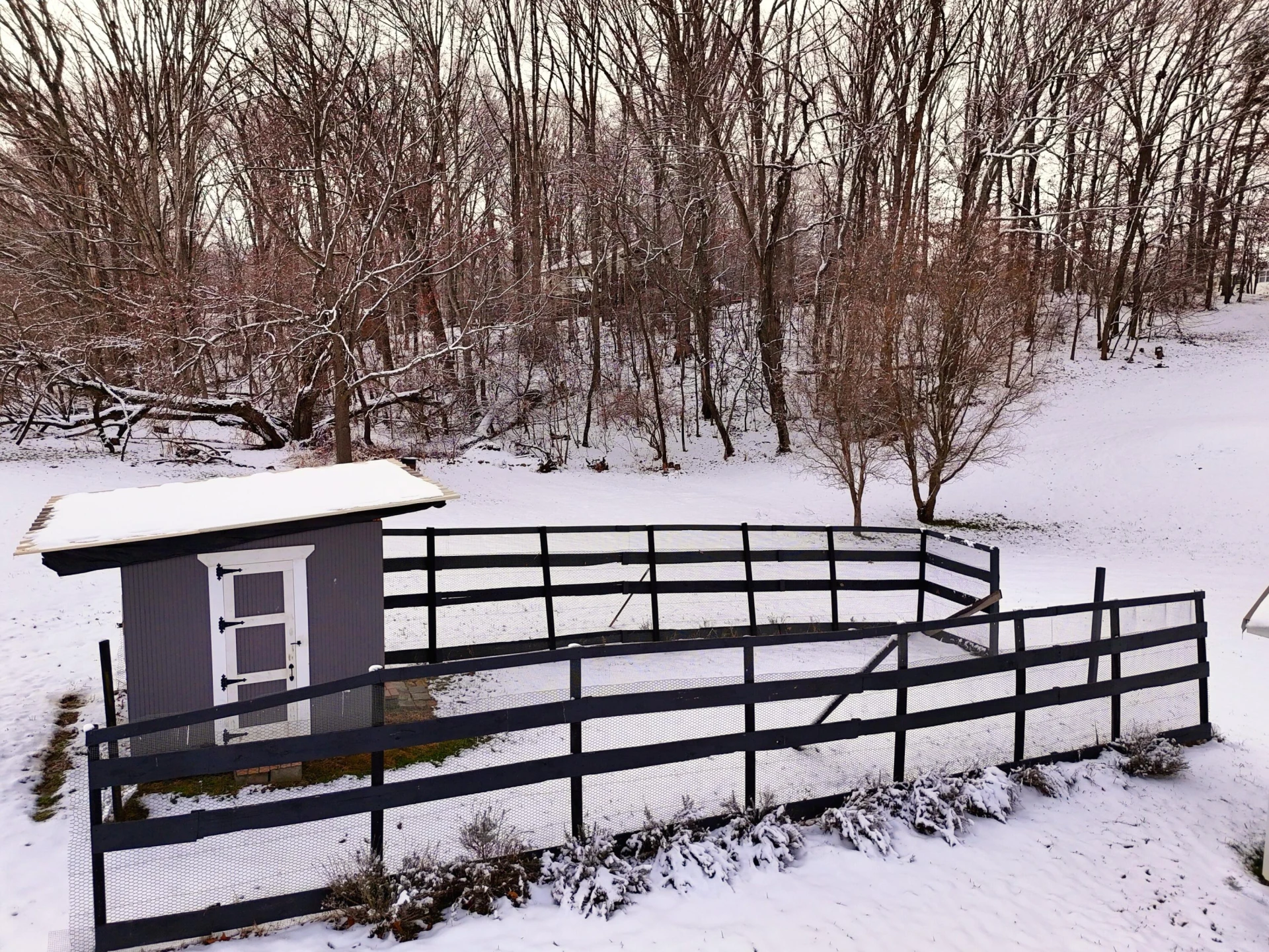4530 Piney Woods RD - Photo 49