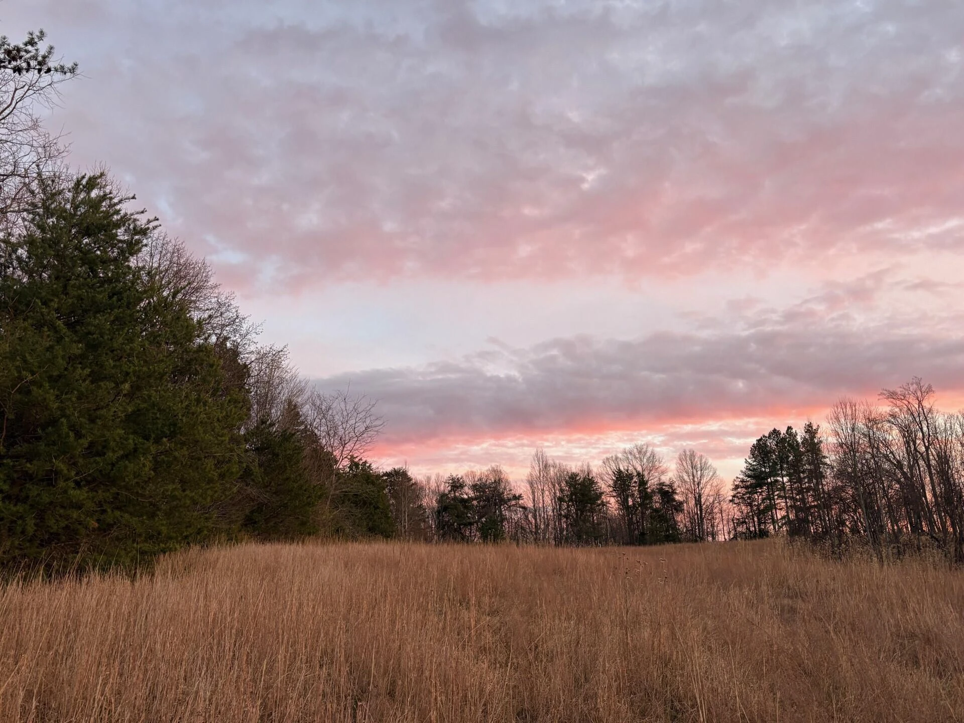 Lot 32 Windsor Castle DR - Photo 2