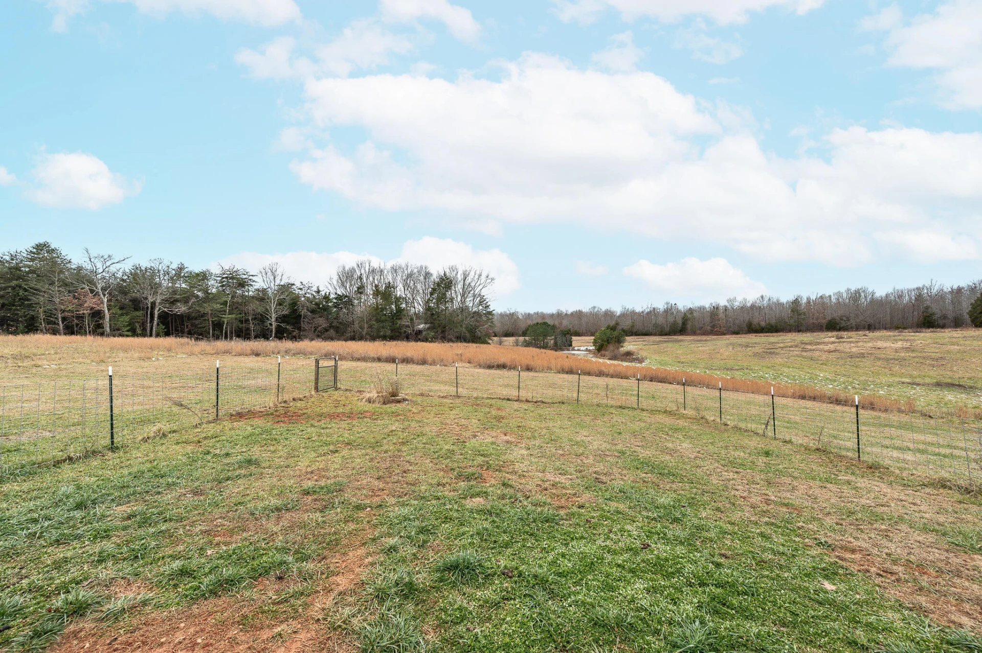 351 Down Creek RD - Photo 36