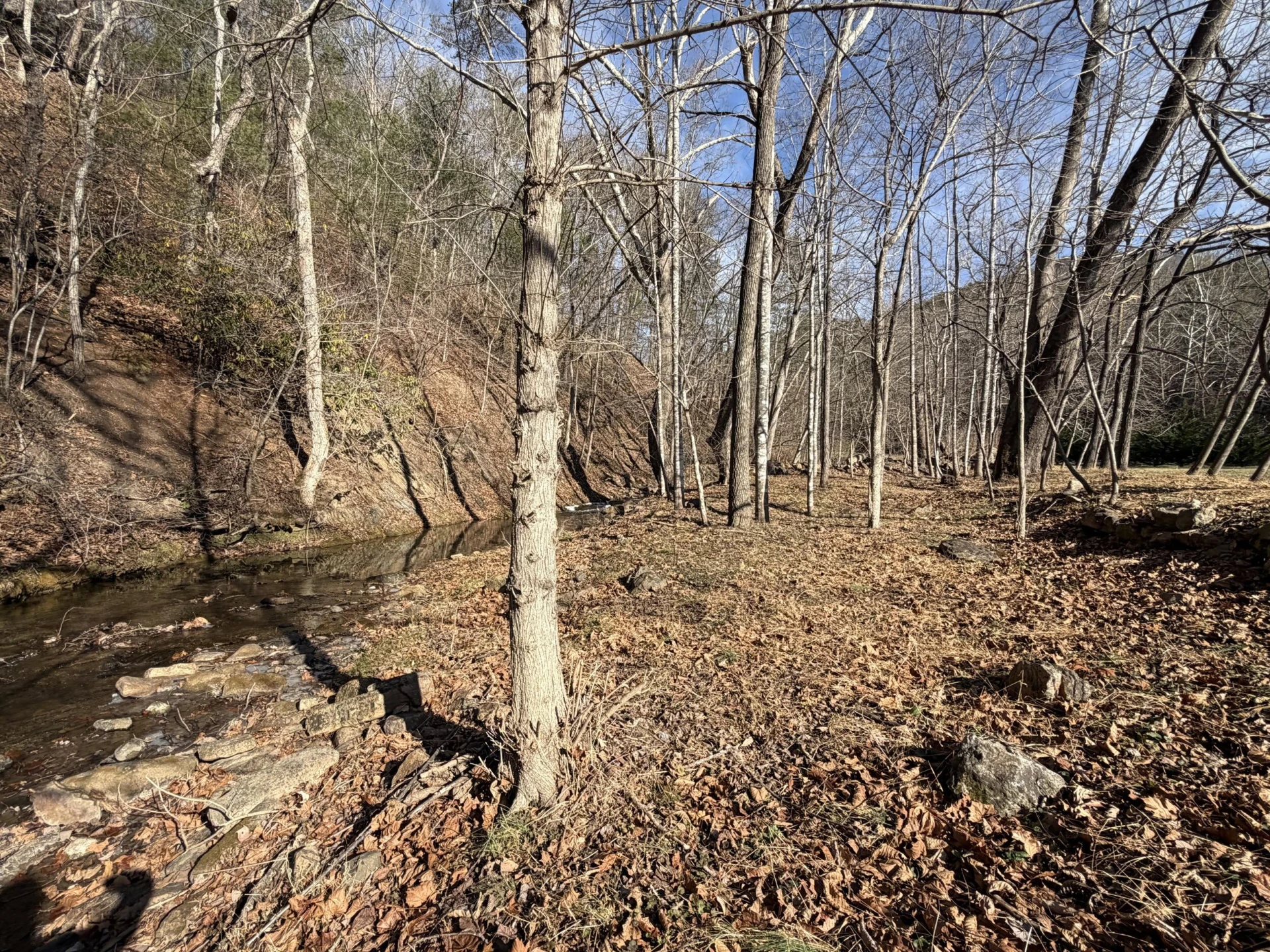 129 Roaring Run RD - Photo 48