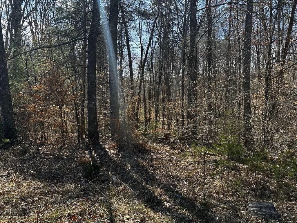 0 Bassett Heights RD - Photo 2