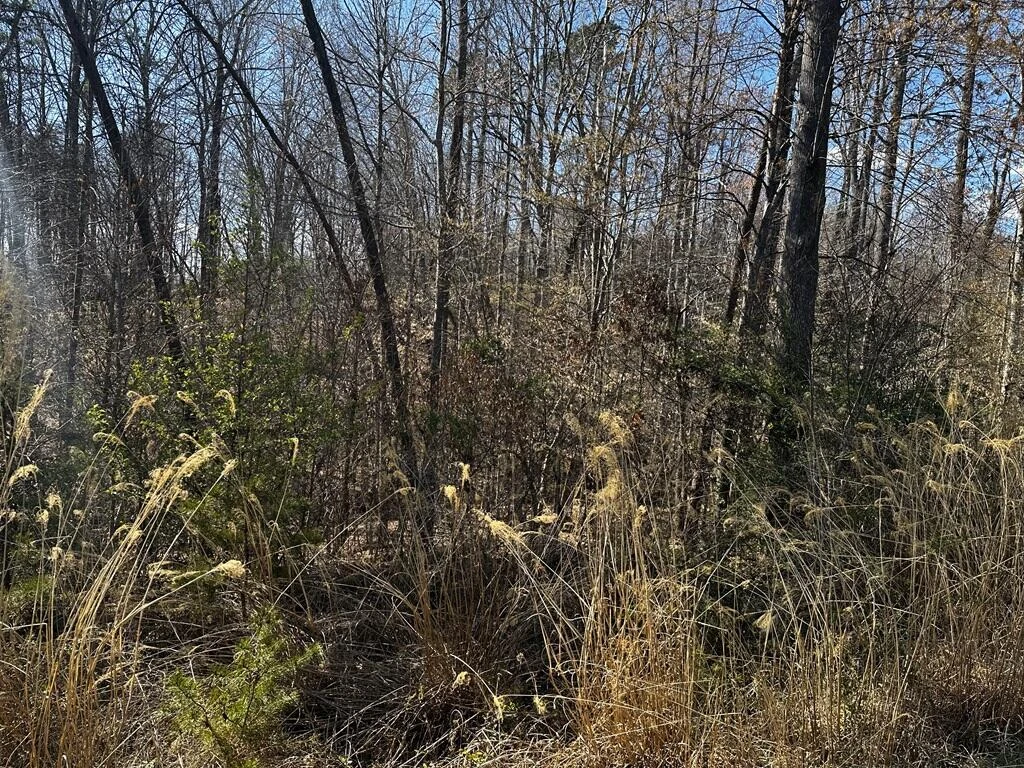0 Bassett Heights RD - Photo 3