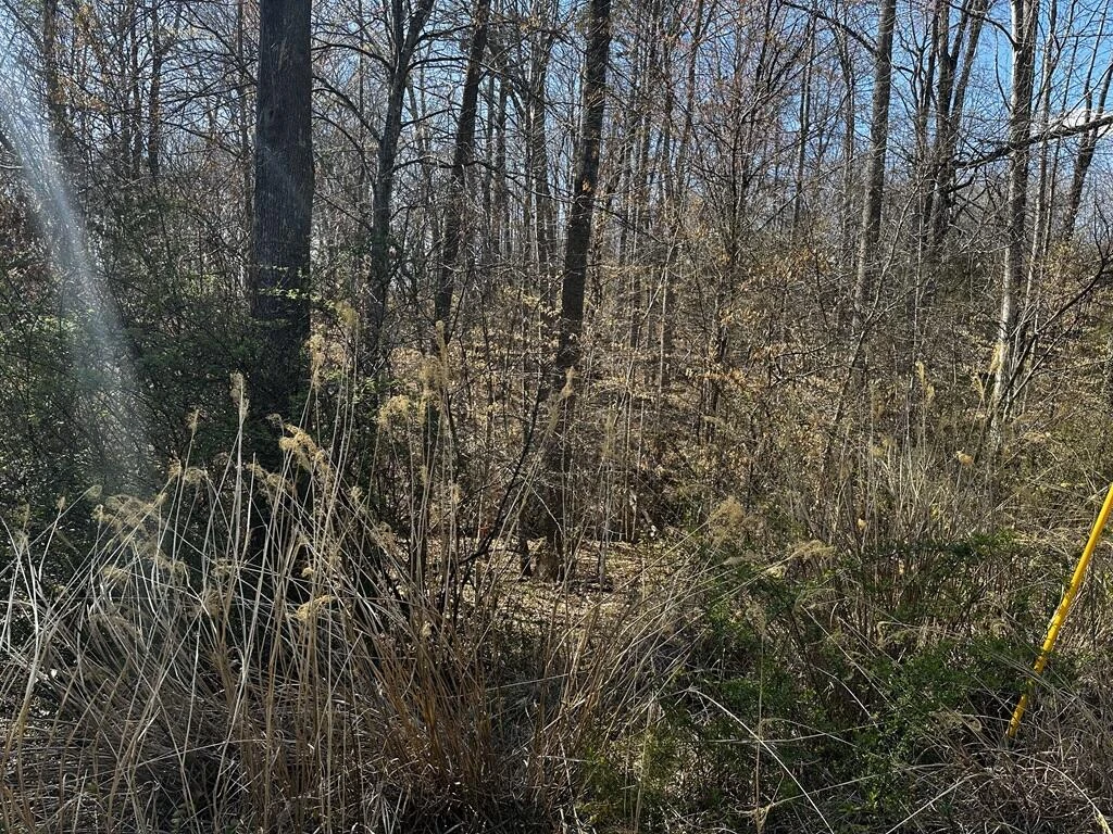 0 Bassett Heights RD - Photo 4