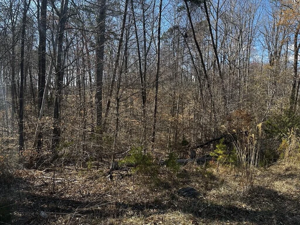 0 Bassett Heights RD - Photo 5