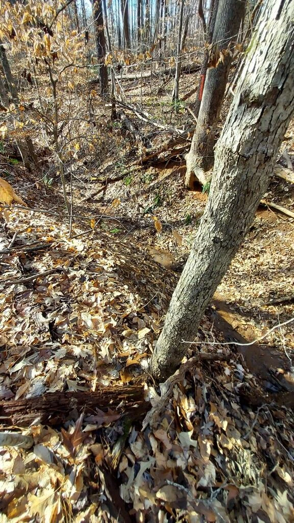 0 Bassett Heights RD - Photo 6