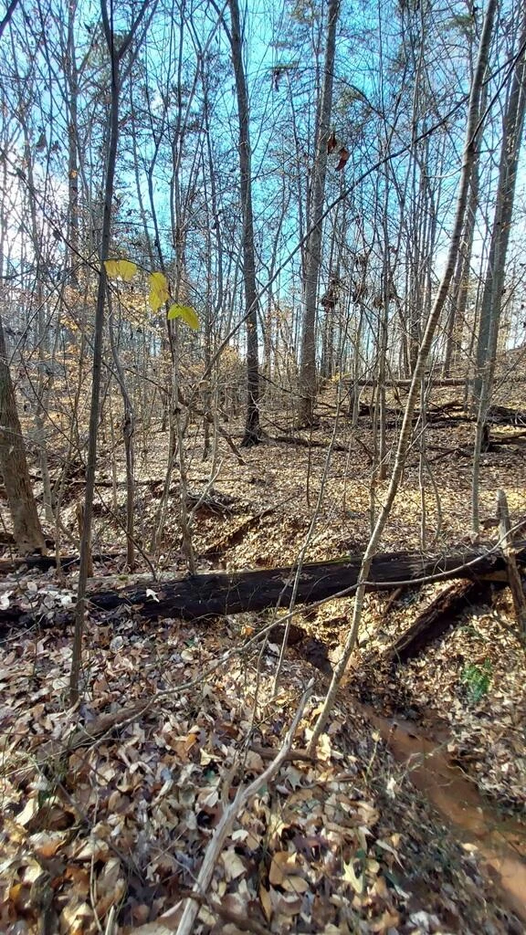 0 Bassett Heights RD - Photo 7