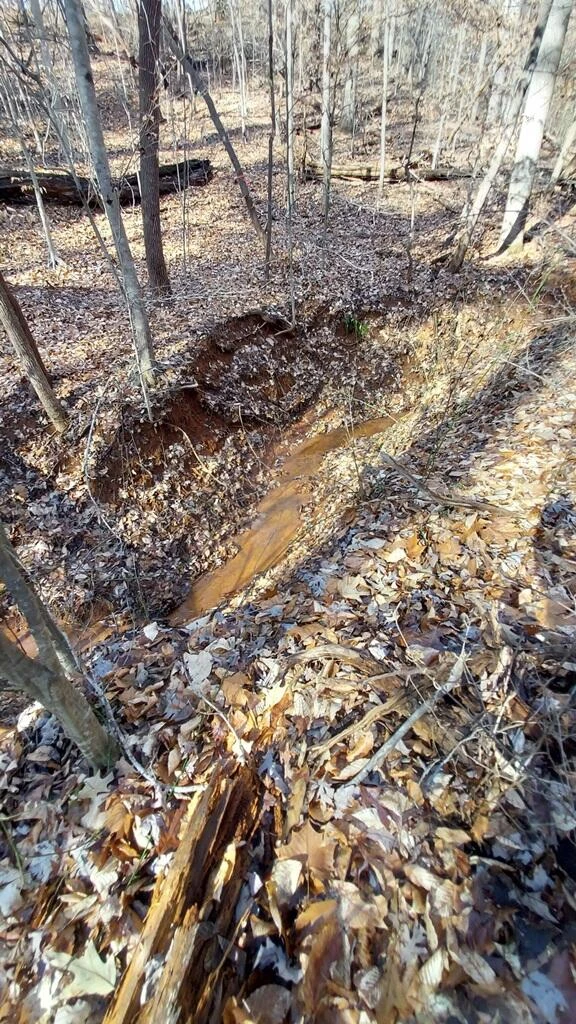 0 Bassett Heights RD - Photo 8