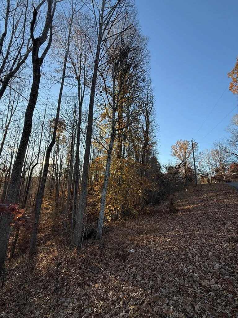 0 Columbus DR - Photo 2