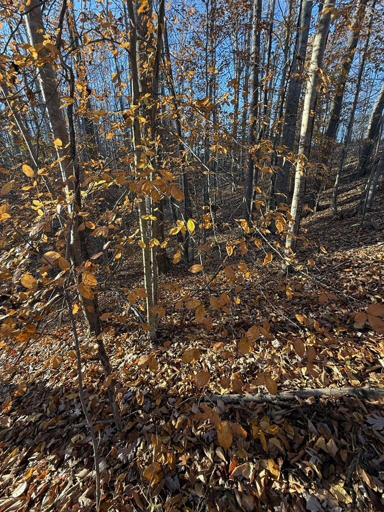 0 Columbus DR - Photo 3