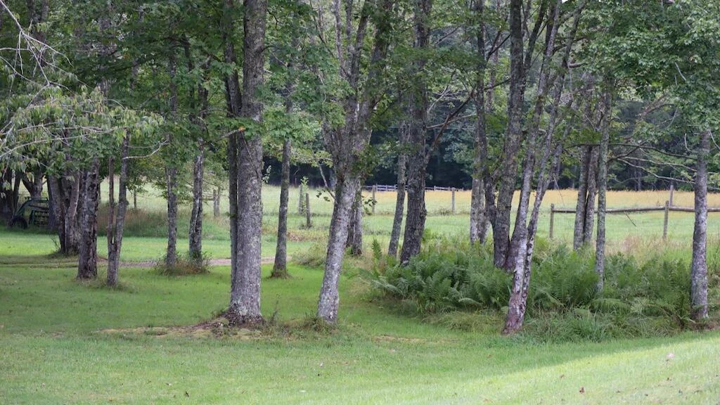 1247 Cannady School RD SE - Photo 36