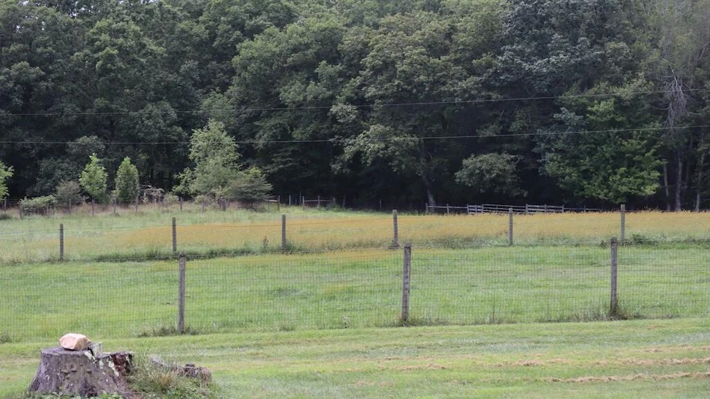 1247 Cannady School RD SE - Photo 37