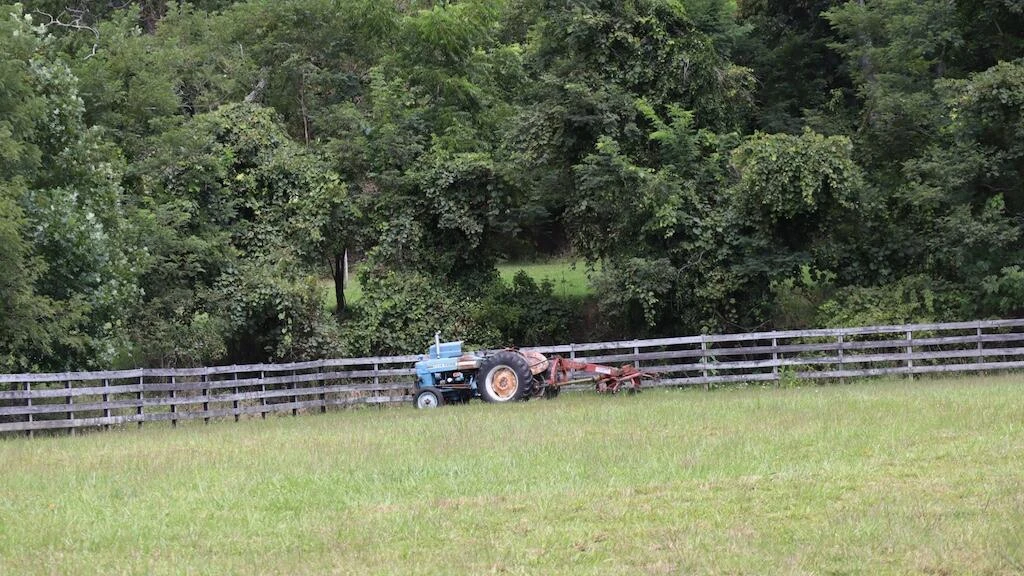 1247 Cannady School RD SE - Photo 38