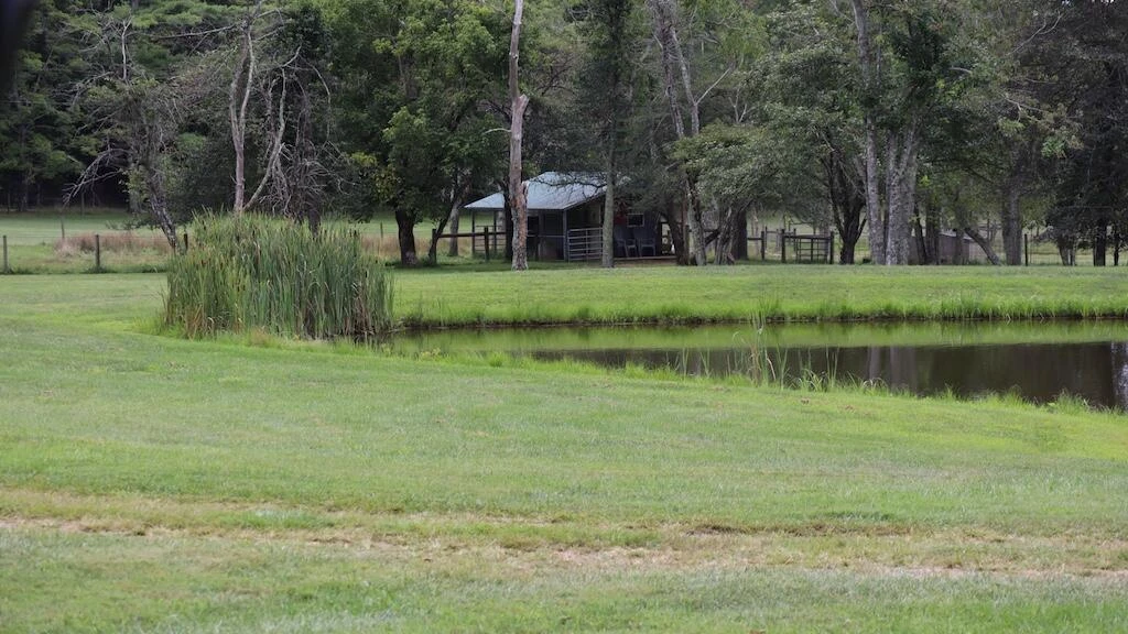 1247 Cannady School RD SE - Photo 39