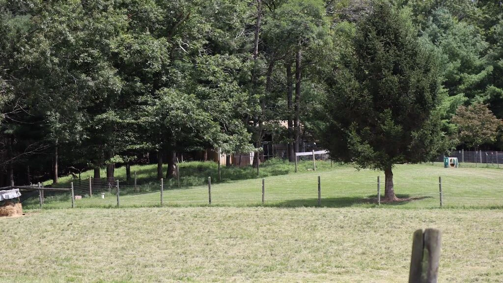 1247 Cannady School RD SE - Photo 41