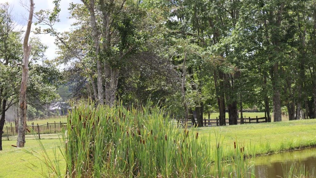 1247 Cannady School RD SE - Photo 42