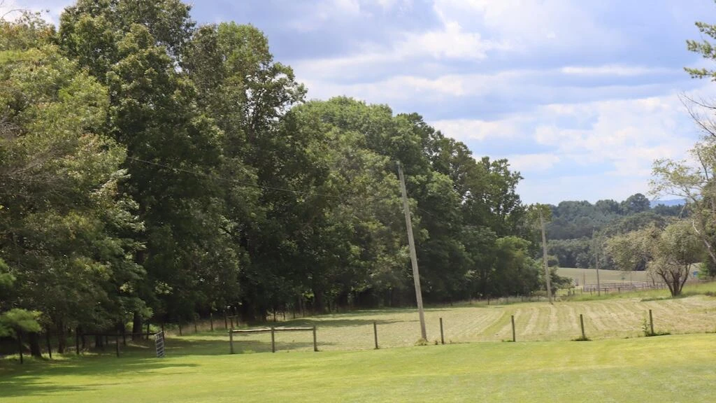 1247 Cannady School RD SE - Photo 43