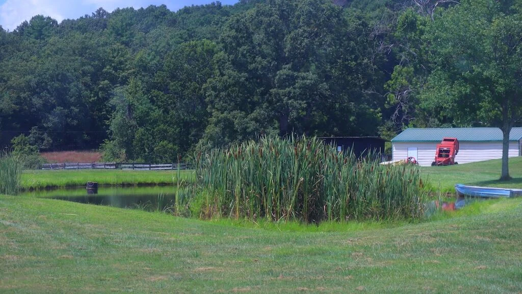 1247 Cannady School RD SE - Photo 45
