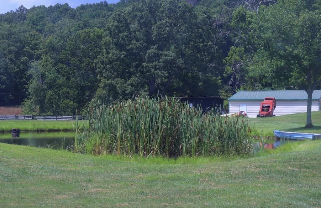 1247 Cannady School RD SE - Photo 46