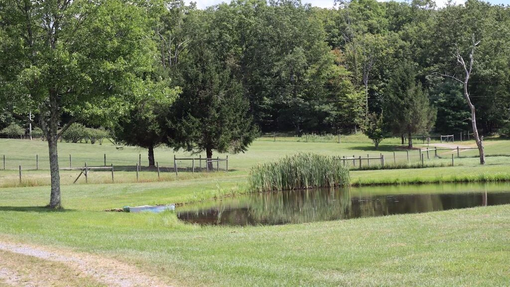 1247 Cannady School RD SE - Photo 47