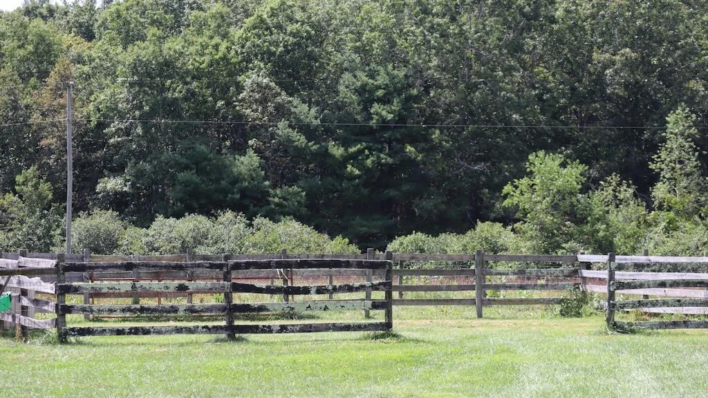 1247 Cannady School RD SE - Photo 48