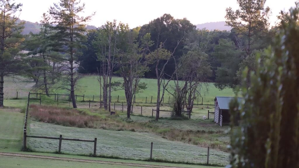 1247 Cannady School RD SE - Photo 49