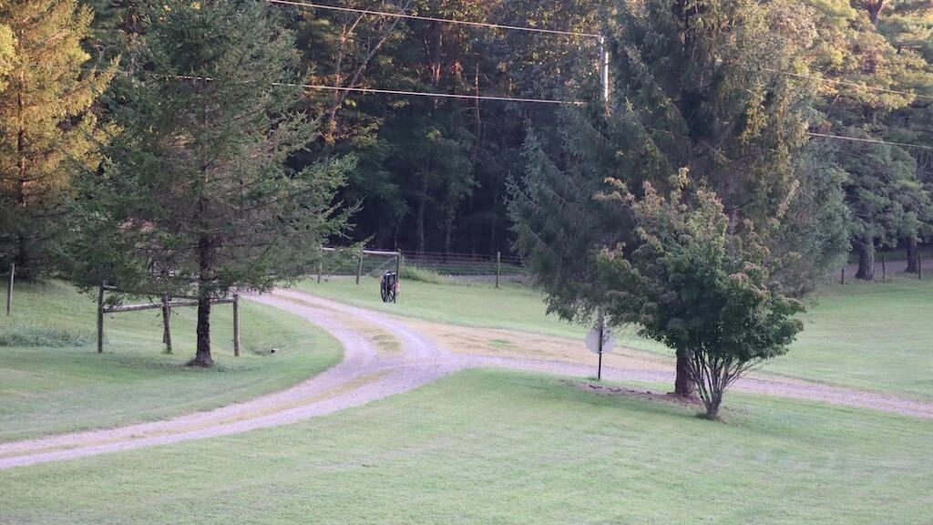 1247 Cannady School RD SE - Photo 50