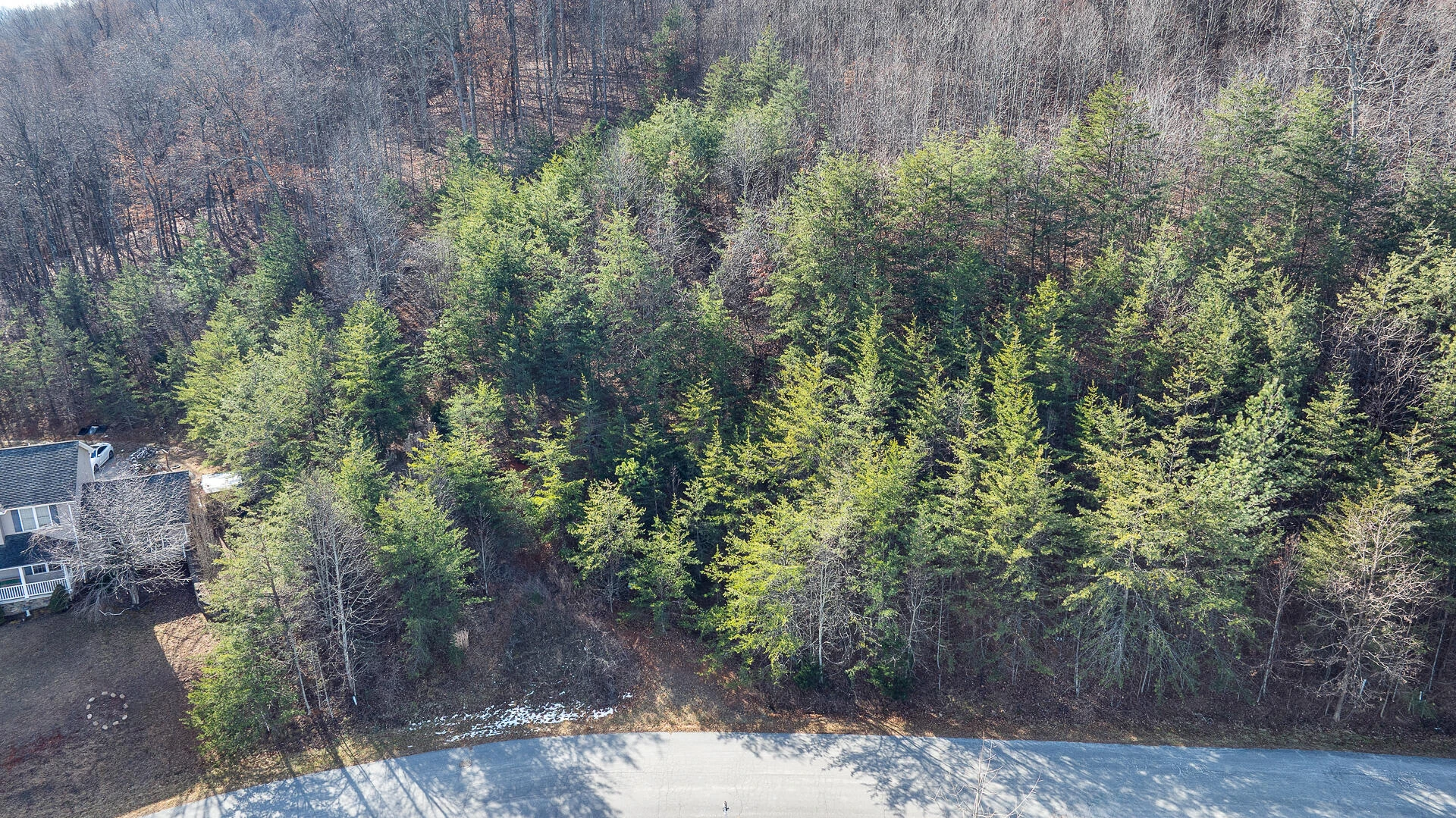 Lot 23 &24 Teresa LN - Photo 4