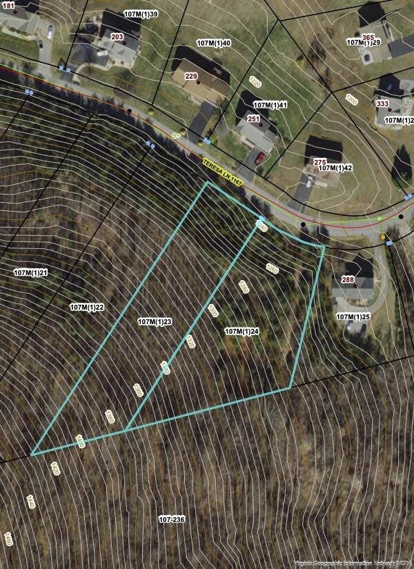 Lot 23 &24 Teresa LN - Photo 8