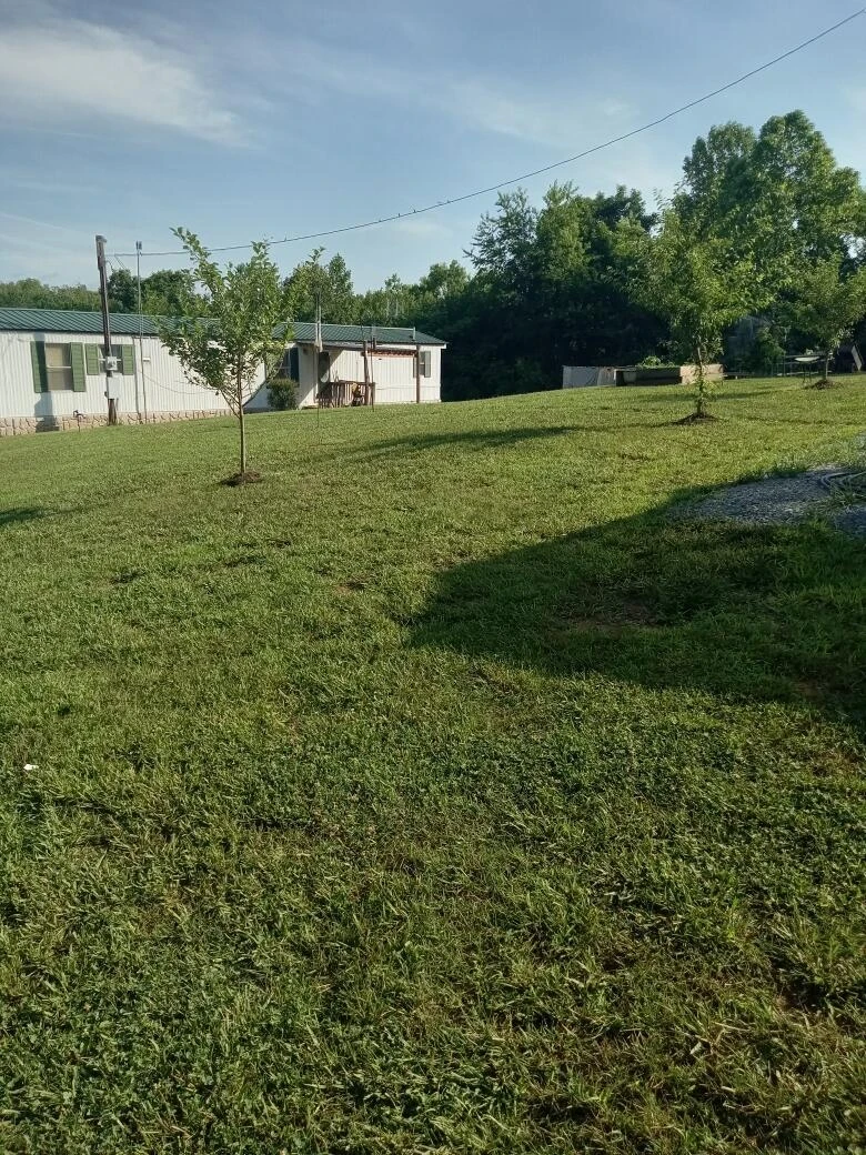  - Photo 16