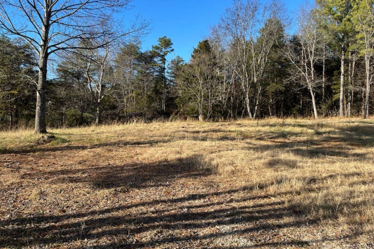 235 TWEEDY LN - Photo 10