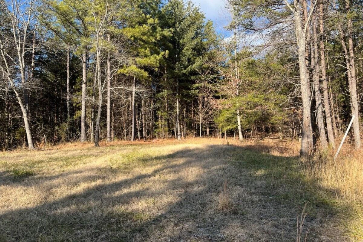 235 TWEEDY LN - Photo 11
