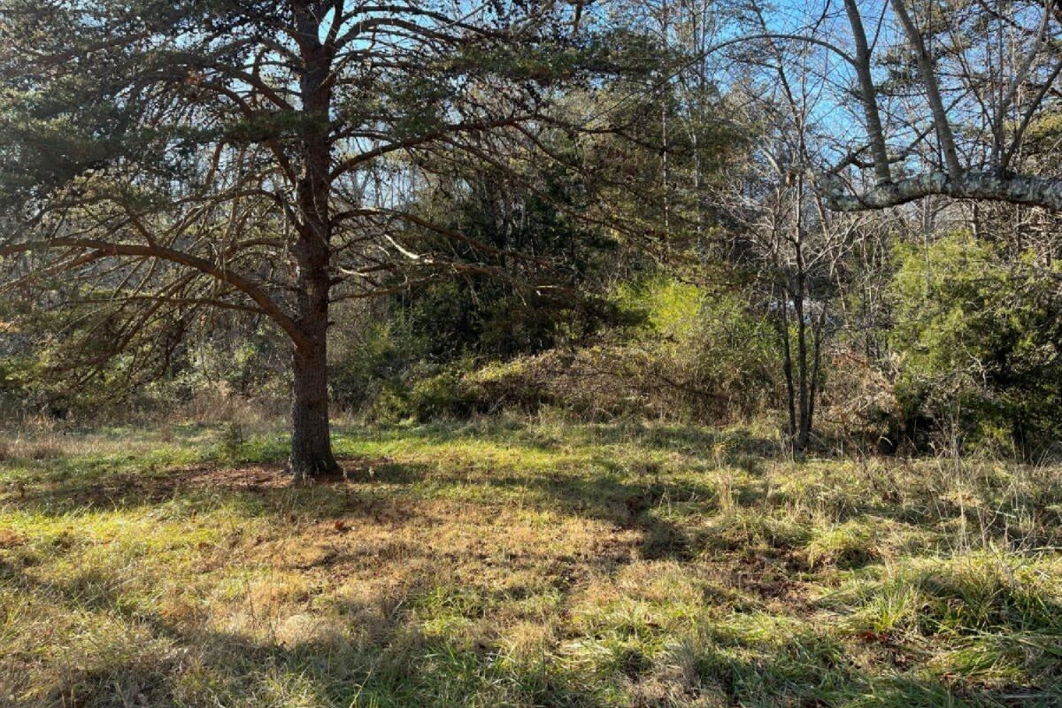 235 TWEEDY LN - Photo 12