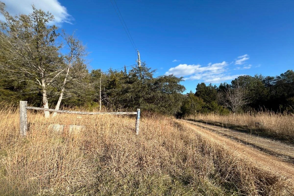 235 TWEEDY LN - Photo 15