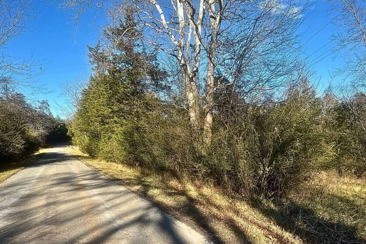 235 TWEEDY LN - Photo 18