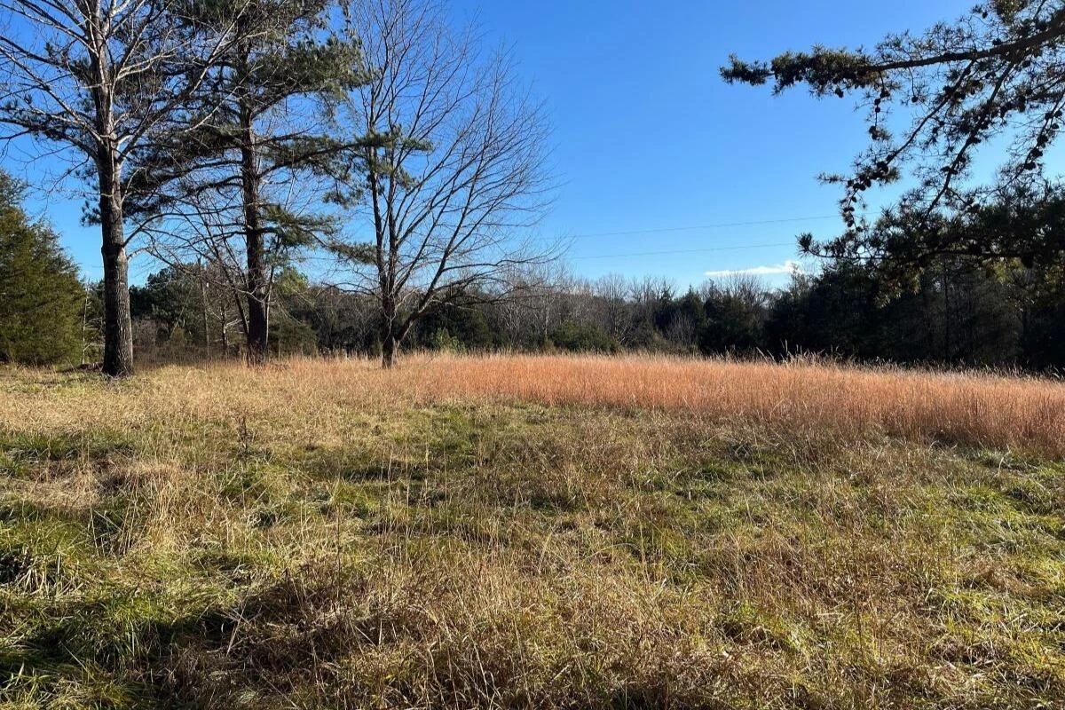 235 TWEEDY LN - Photo 2