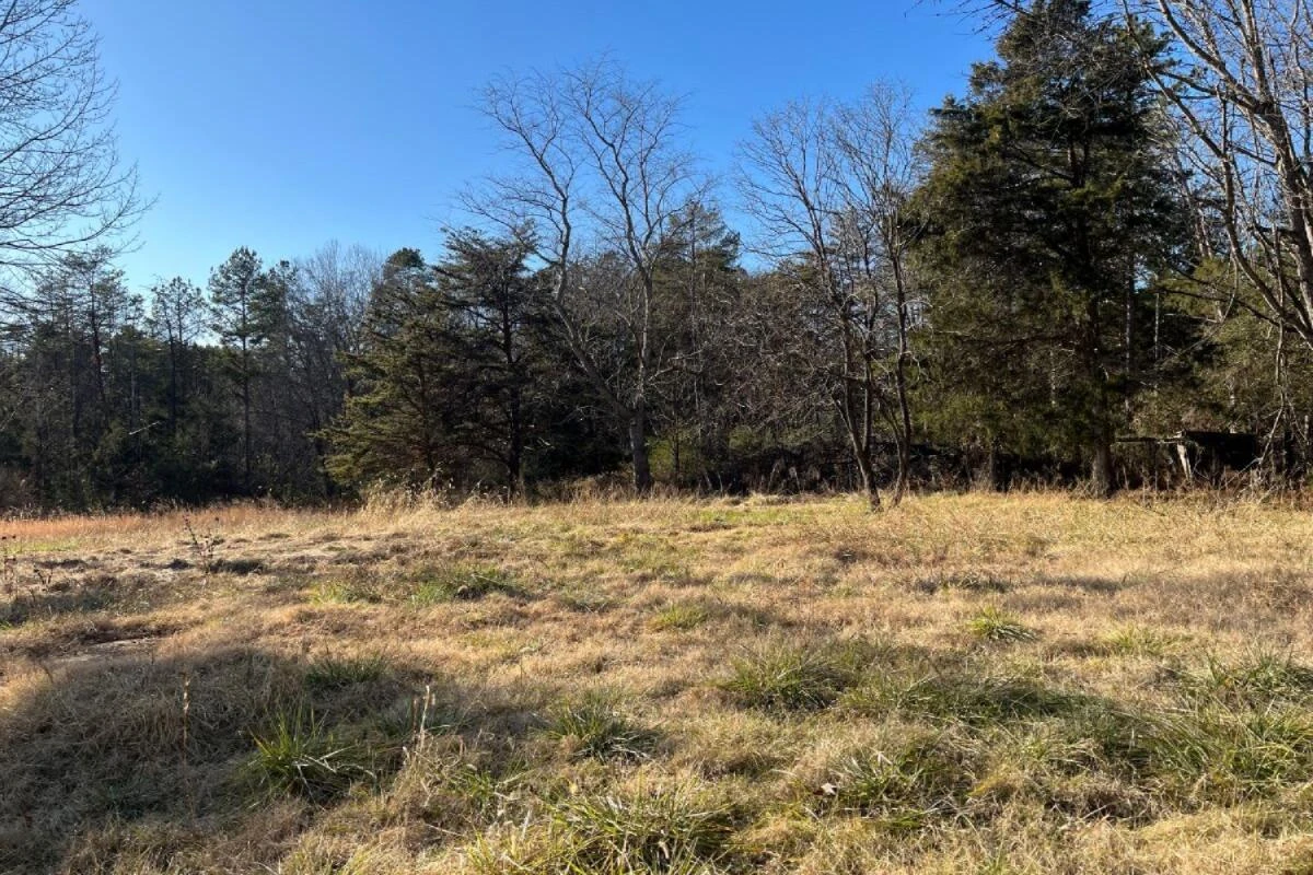 235 TWEEDY LN - Photo 3