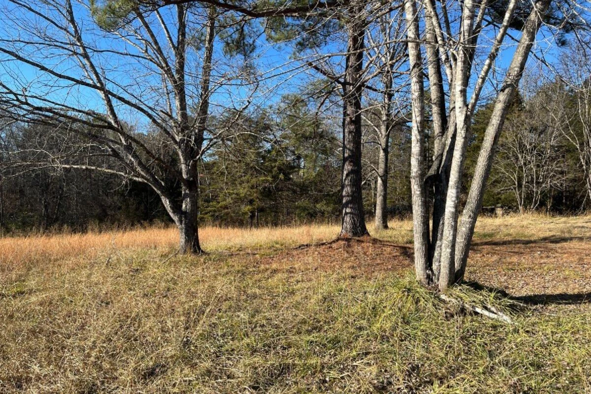 235 TWEEDY LN - Photo 5