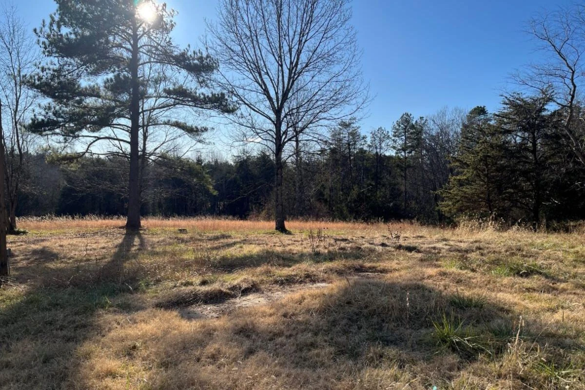 235 TWEEDY LN - Photo 6