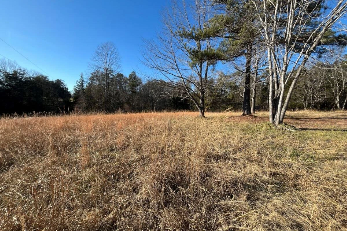 235 TWEEDY LN - Photo 8