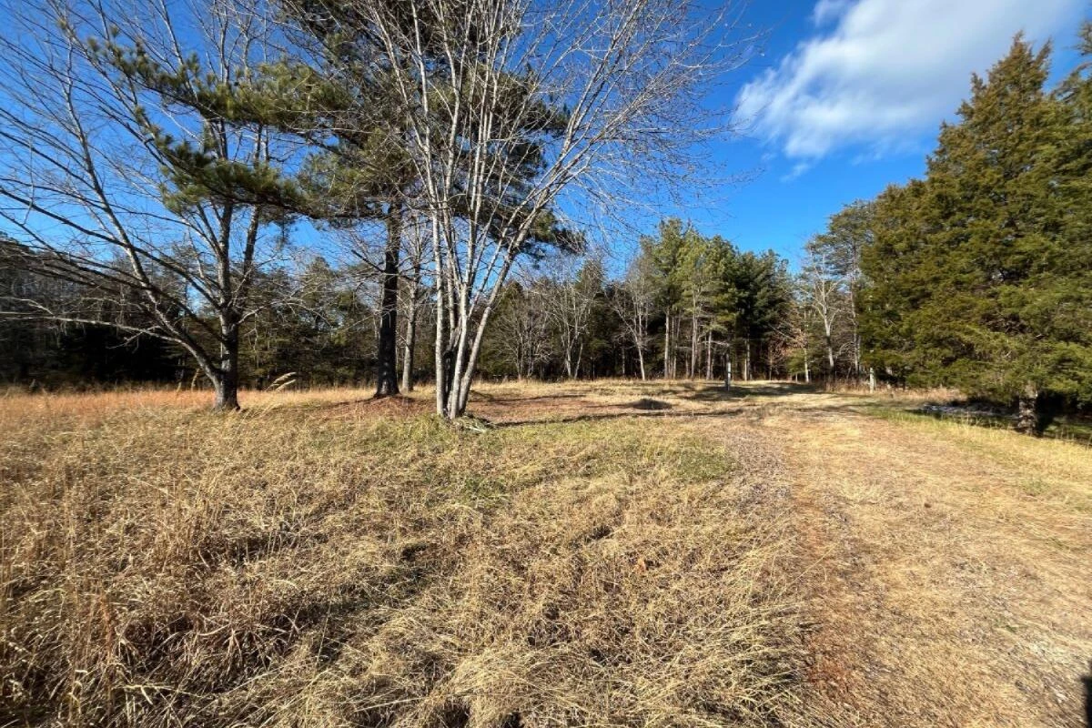 235 TWEEDY LN - Photo 9