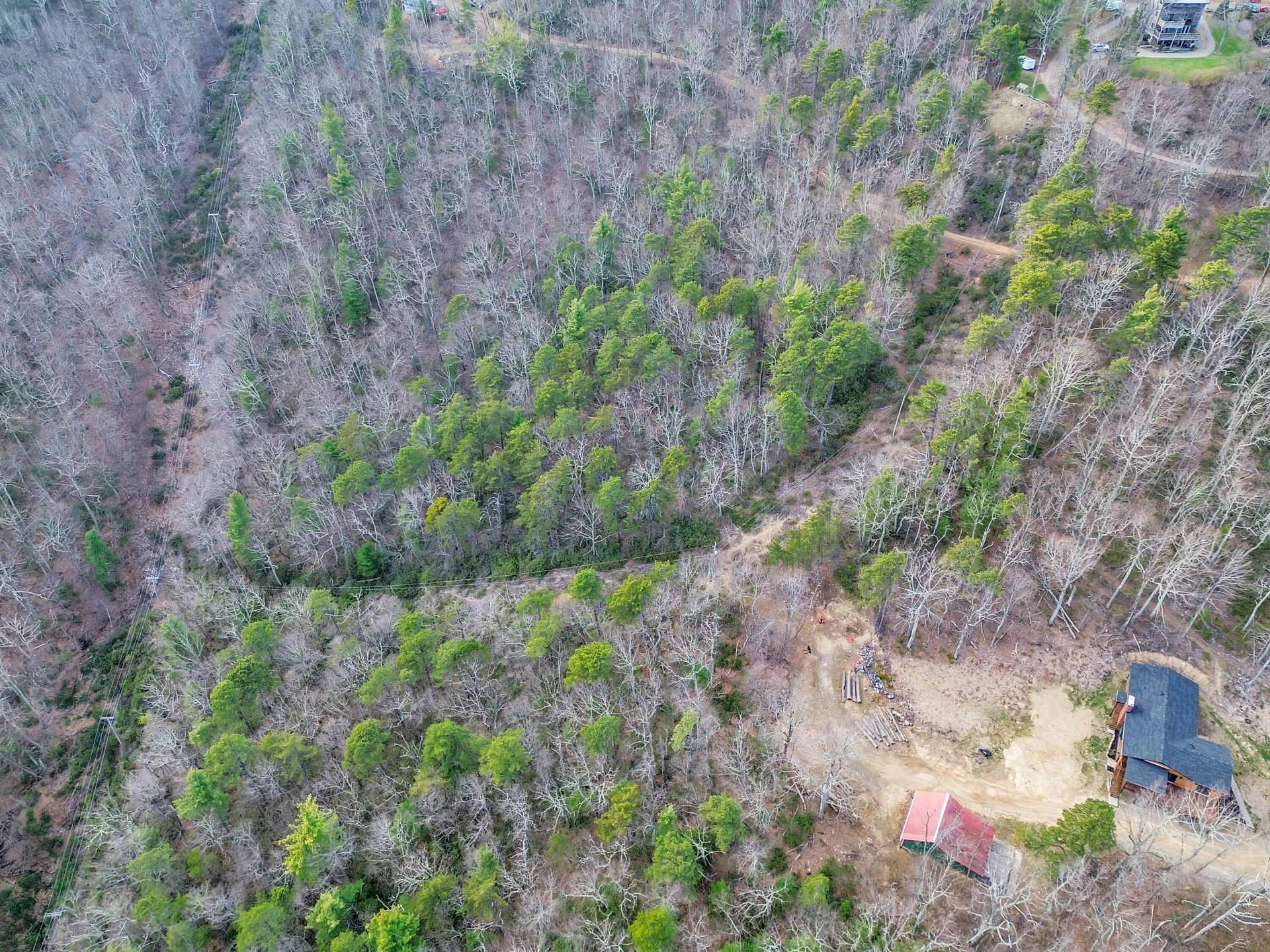 7923 Poor Mountain RD - Photo 59