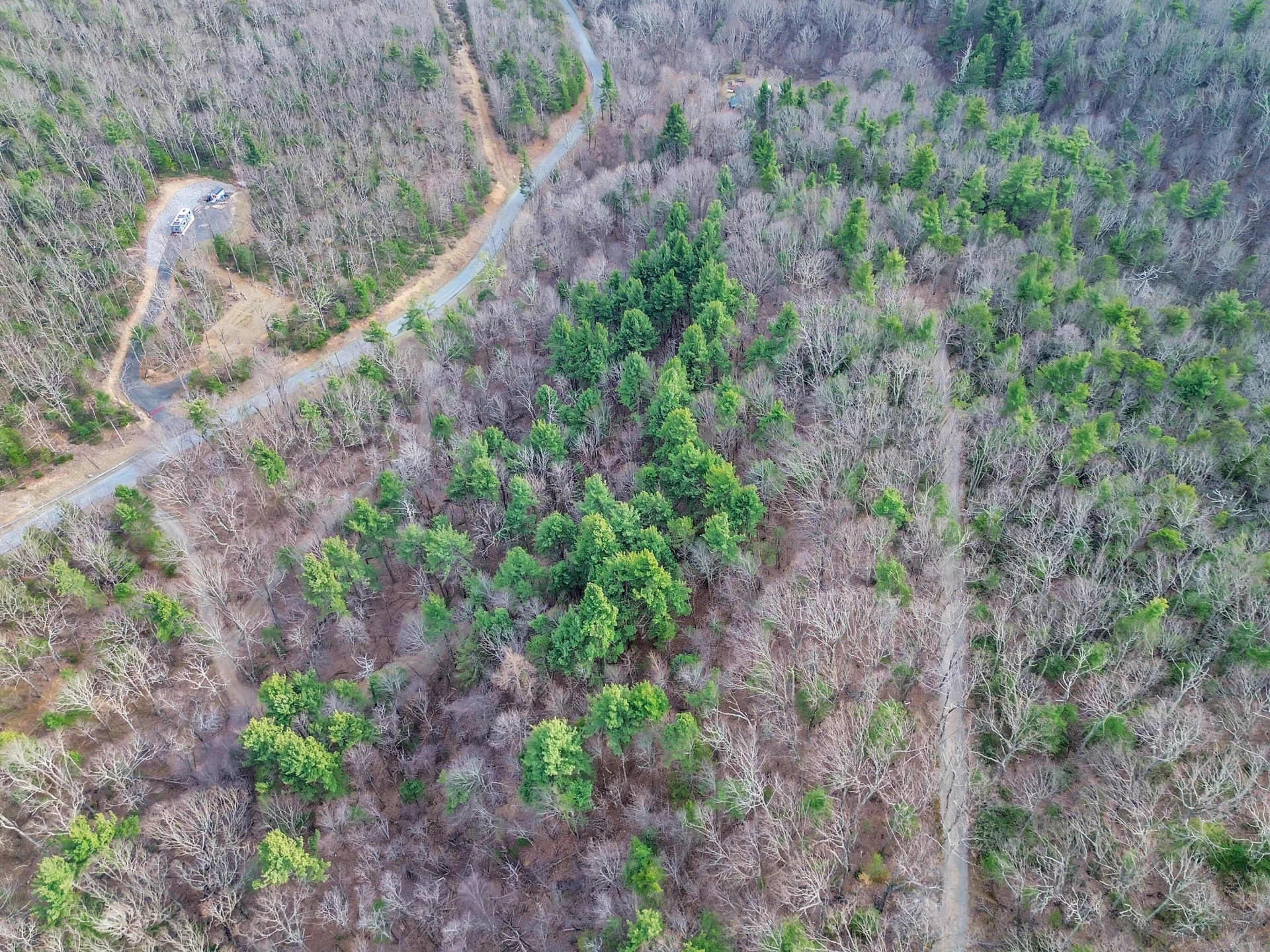 7923 Poor Mountain RD - Photo 61