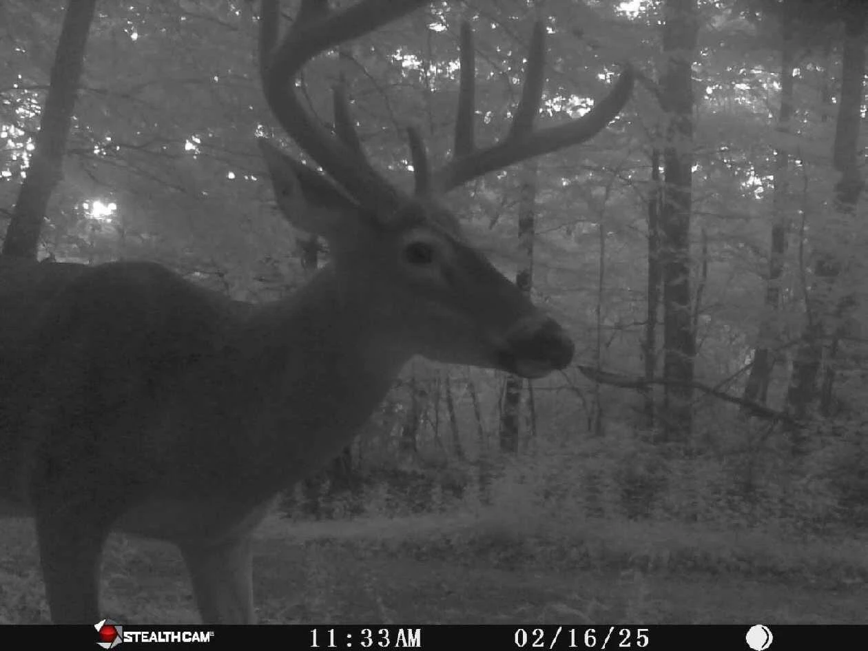 7923 Poor Mountain RD - Photo 75
