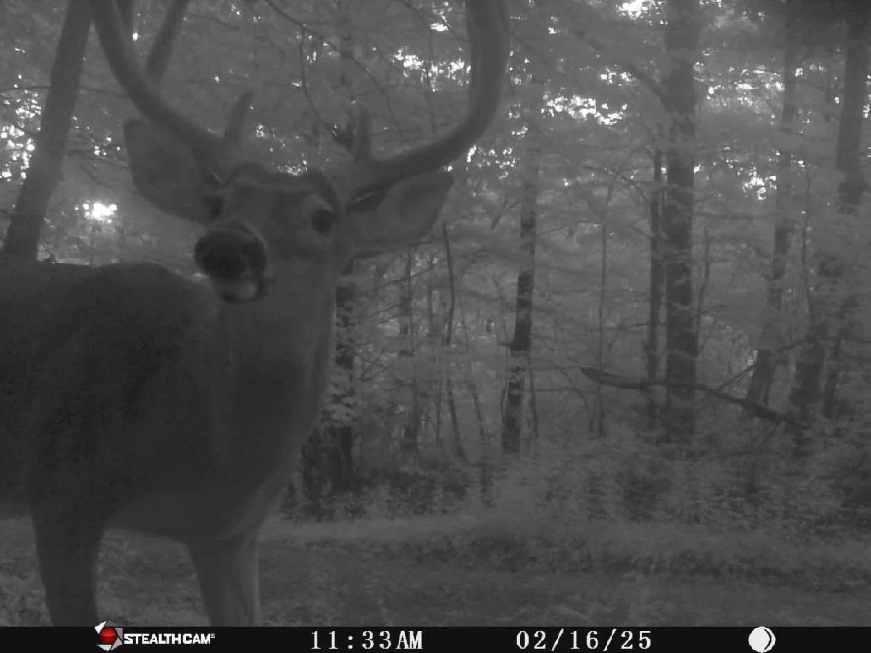 7923 Poor Mountain RD - Photo 76
