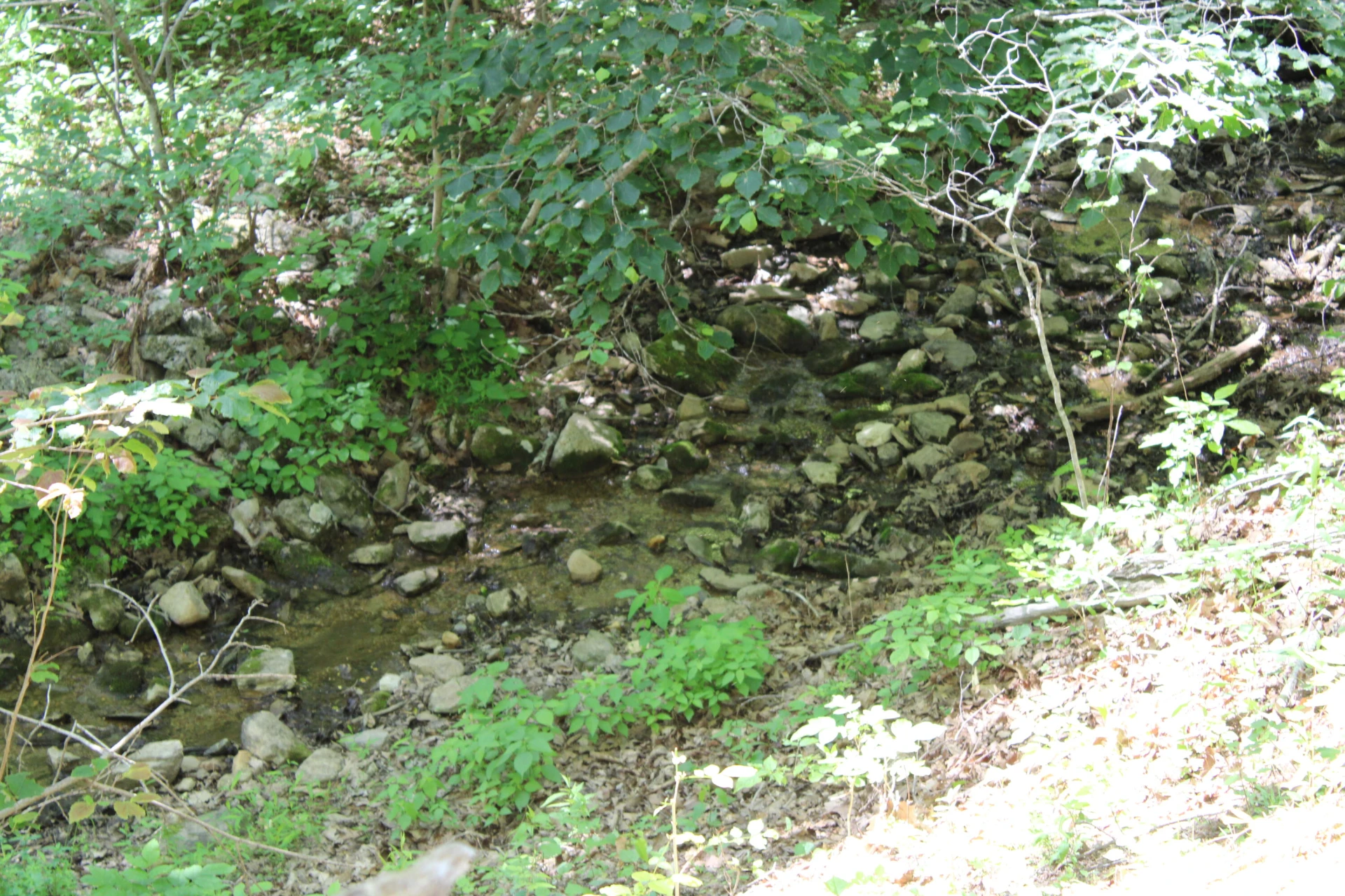 7923 Poor Mountain RD - Photo 80